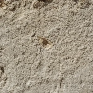 Superficie di intonaco grezzo beige